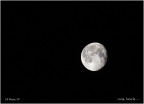 Luna, luna là...... Luna, luna là......