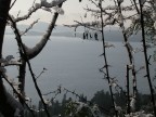 Spini ghiacciati sul lago Spini ghiacciati sul lago