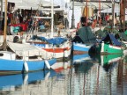 i colori del porto