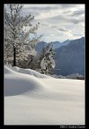Nevicata Nevicata