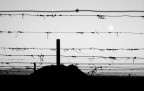 Oltre il confine Oltre il confine