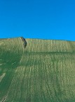 Paesaggio 1 Paesaggio 1
