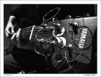 Yamaha Passion Yamaha Passion