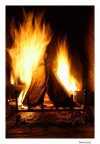 fuoco
