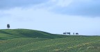 il mio campo preferito il mio campo preferito