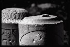 Cimitero degli Ebrei #5