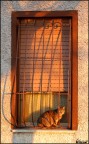 Aspettando che cali la notte.. Aspettando che cali la notte..