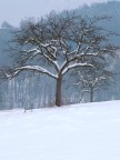 L'inverno L'inverno