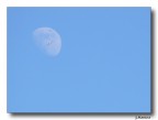 in the moon