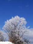 Soli nella neve Soli nella neve