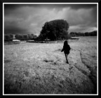 Sempre gradite critiche e suggerimenti. :)

Scatto eseguito con Holga 120N su pellicola Kodak BW400CN.