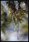 Cold#1 Cold#1