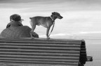 Il cane Il cane