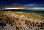 bolivia 1 bolivia 1