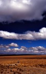 bolivia 2 bolivia 2