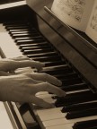 Contest n°24 "Musica!" Contest n°24 "Musica!"