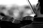 Violino Solo... Violino Solo...