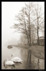 la casa sul lago del tempo la casa sul lago del tempo