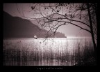 sogni nella notte sogni nella notte