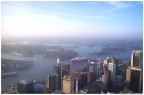 Sydney Tower View Sydney Tower View
