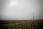 nebbia nebbia