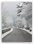 Un giorno d'inverno... Forse l'unico... Un giorno d'inverno... Forse l'unico...