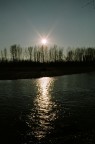 ...sun&trees ...sun&trees
