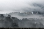 Nella nebbia invernale Nella nebbia invernale