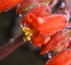 Tra uno scr�scio e l'altro!