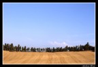Colline pisane Colline pisane