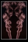 X-ray X-ray