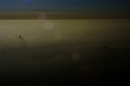PoLluTiOn PoLluTiOn