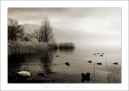 verso la luce verso la luce