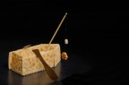 A Pesca sul Laghetto...