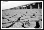 e l'acqua... e l'acqua...
