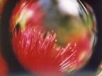 sfera magica... sfera magica...