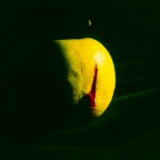 peccato peccato
