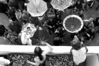 Carnevale di Fano 2007-Il getto- Carnevale di Fano 2007-Il getto-