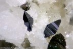 Anatasio Anatasio