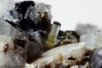 Elbaite