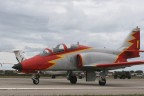 aquila aquila