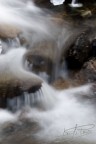 torrente torrente