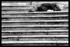Sleeping... Sleeping...