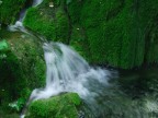 Ruscello a Plitvice Ruscello a Plitvice