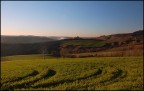 curvosaggio curvosaggio