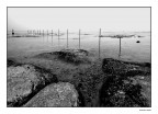 Lake Poles Lake Poles