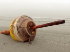 Foto rielaborata con Photoshop, si tratta di una boa trascinata sulla battigia dopo una mareggiata.
Critiche ben accette.