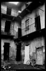 Vita da clandestino... Vita da clandestino...