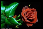 San Valentino San Valentino