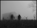 Foggy Night - Autoscatto Foggy Night - Autoscatto